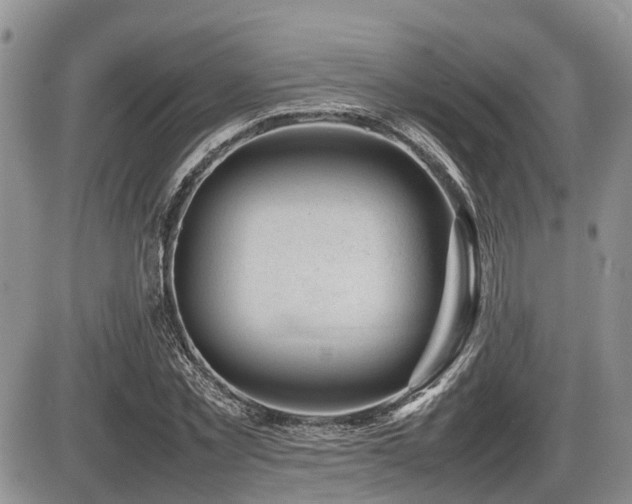 X0000086080781200703231403