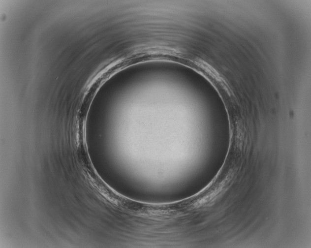 X0000086080782200703231403