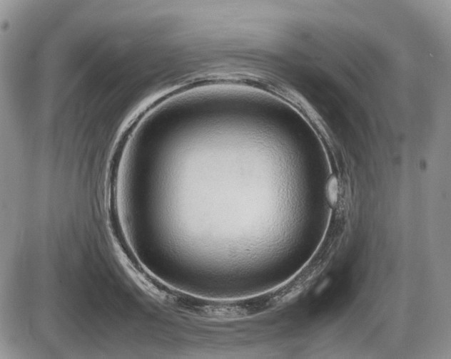 X0000086080795200703231403