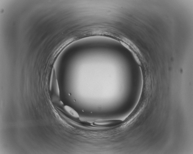 X0000086080801200703231403