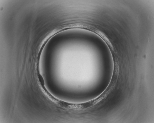 X0000086080805200703231403