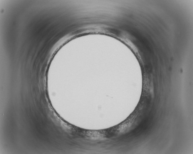 X0000086080807200703231403