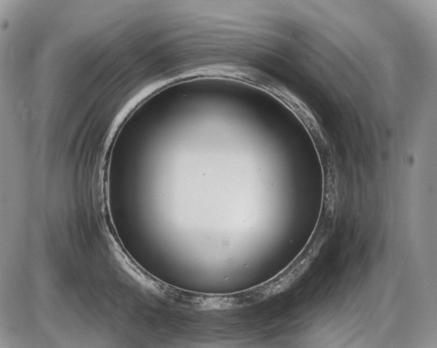 X0000086080808200703231403