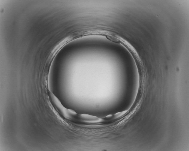 X0000086080809200703231403