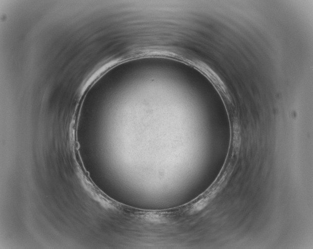 X0000086080814200703231403