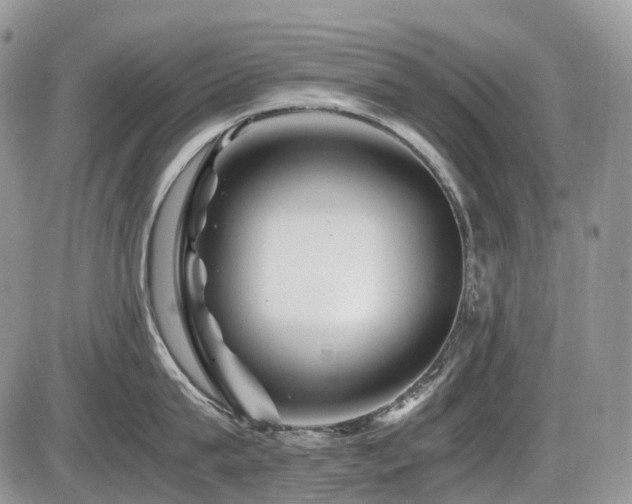 X0000086080815200703231403
