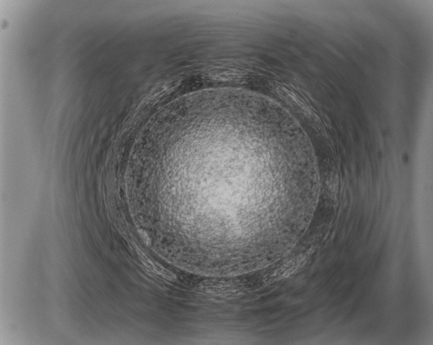 X0000086080817200703231402