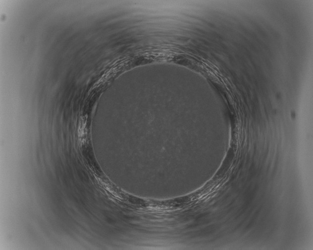 X0000086080818200703231402