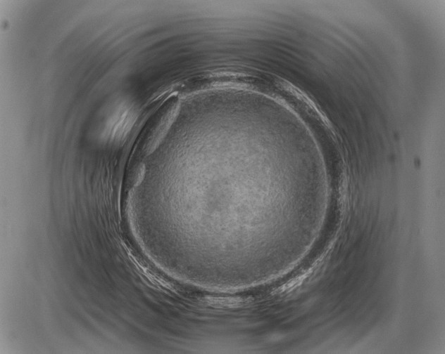 X0000086080825200703231402