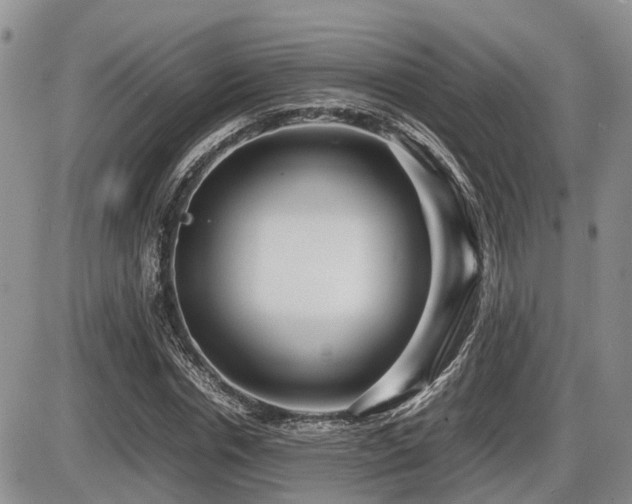 X0000086080826200703231402
