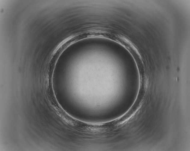 X0000086080829200703231402