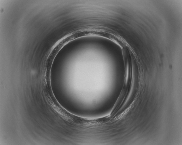 X0000086080830200703231402