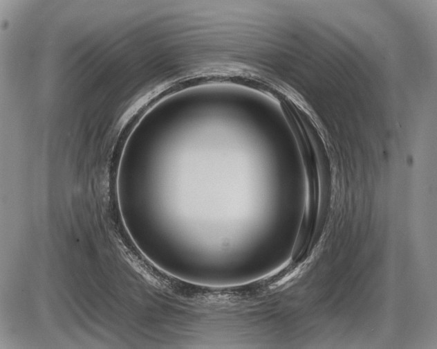 X0000086080834200703231402