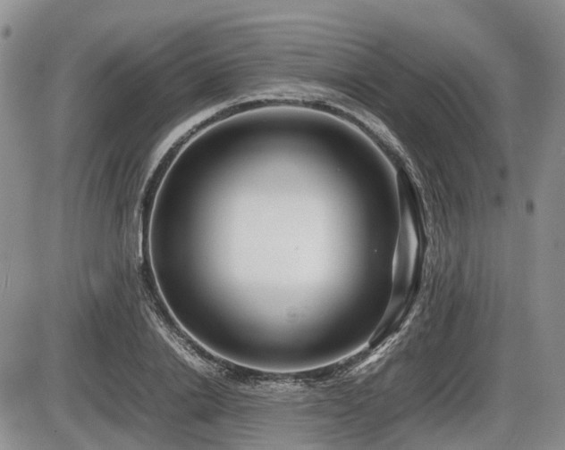 X0000086080838200703231402