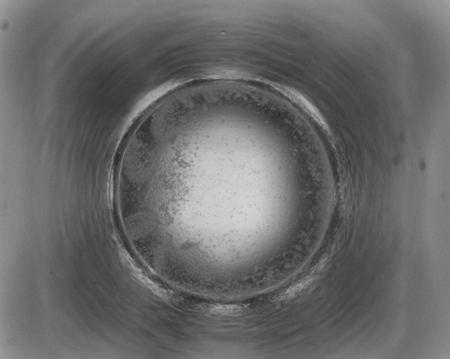 X0000086080839200703231402