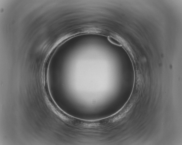 X0000086080843200703231402