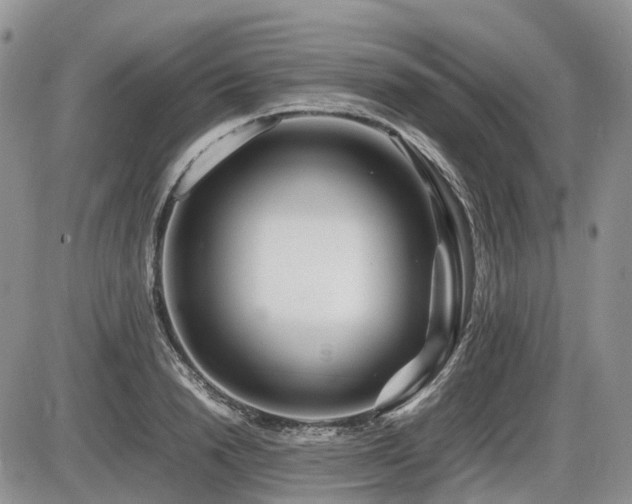 X0000086080846200703231402