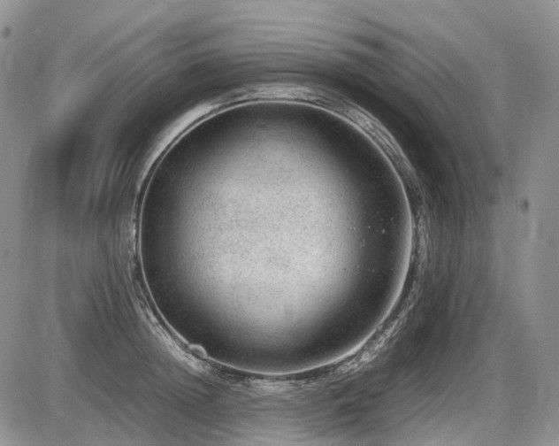 X0000086080852200703231402