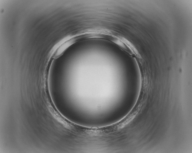 X0000086080854200703231402