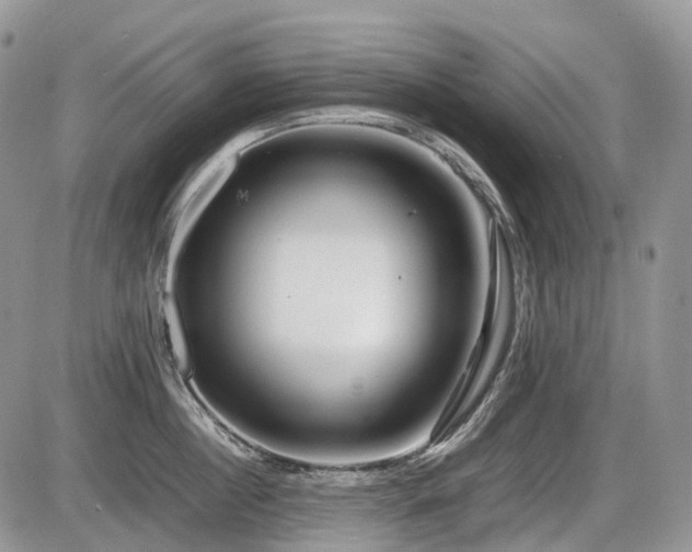 X0000086080860200703231403