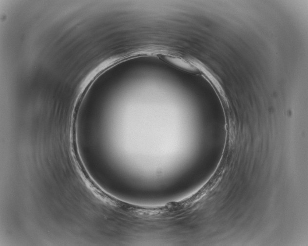 X0000086080861200703231403