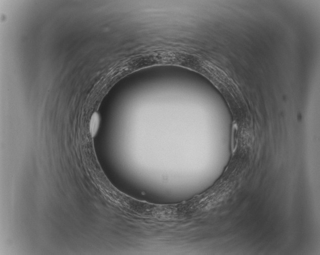 X0000086080865200703231402