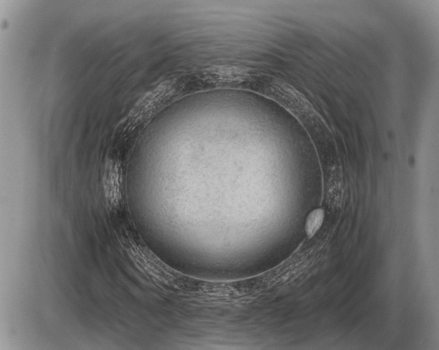 X0000086080866200703231402