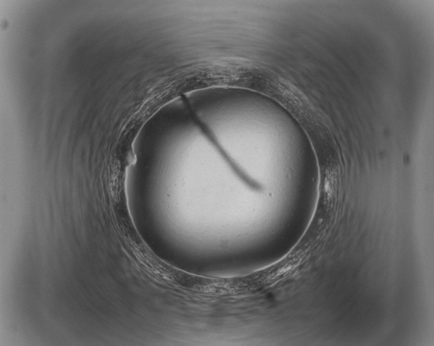 X0000086080867200703231402