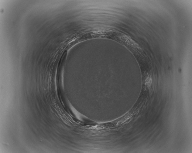 X0000086080868200703231402