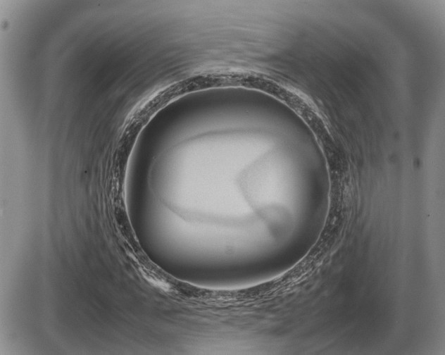 X0000086080871200703231402