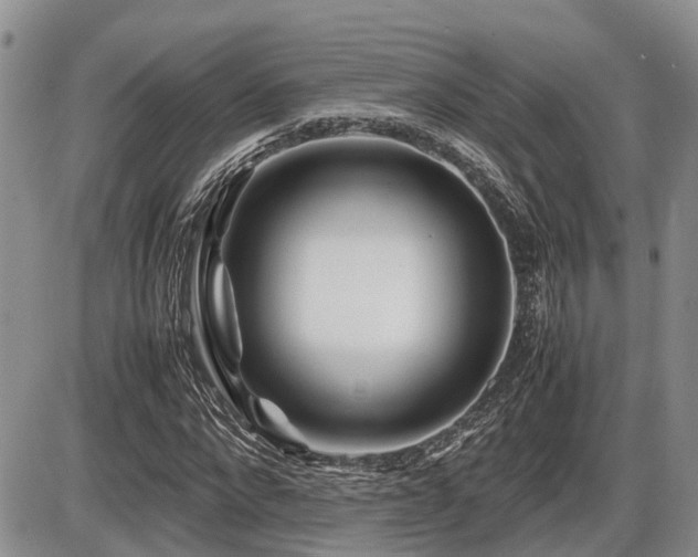 X0000086080872200703231402