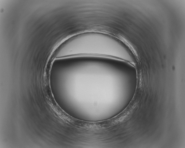 X0000086080876200703231402