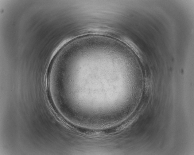 X0000086080891200703231401