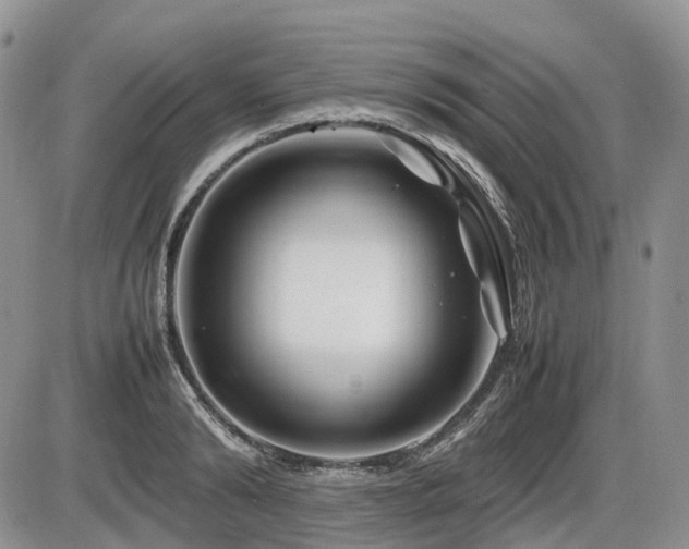 X0000086080894200703231401