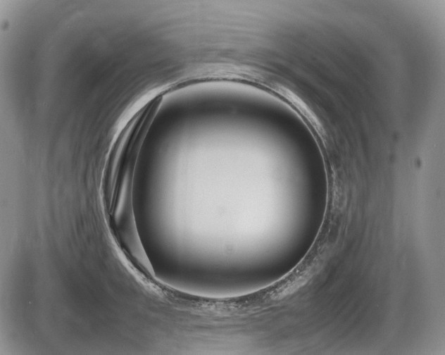 X0000086080901200703231401