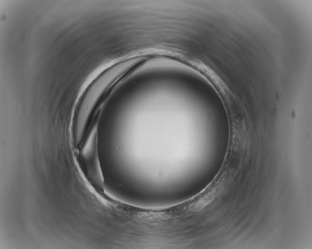 X0000086080902200703231401