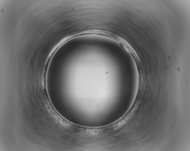 X0000086080908200703231401