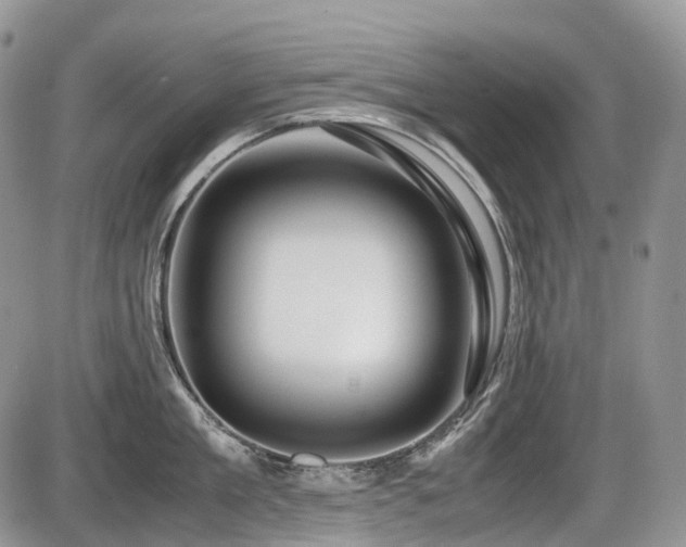 X0000086080909200703231401