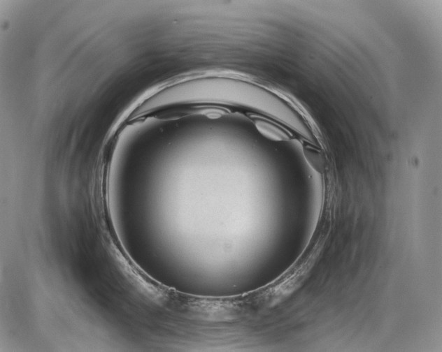 X0000086080910200703231401