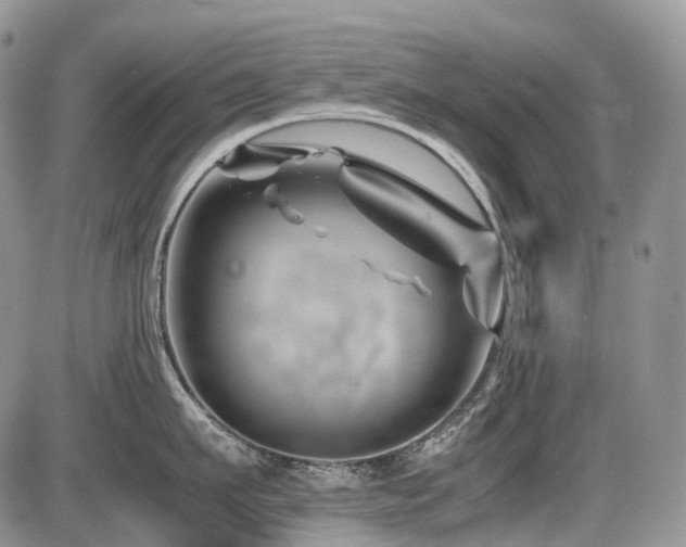 X0000086080911200703231401