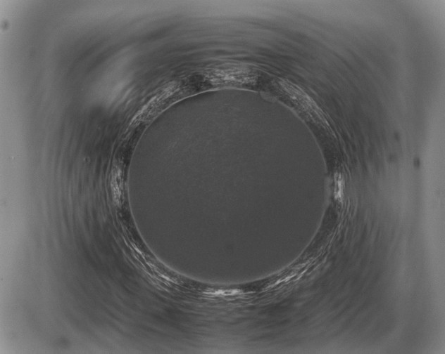 X0000086080915200703231400