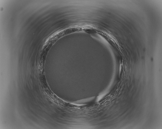 X0000086080920200703231400