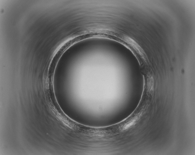 X0000086080924200703231400