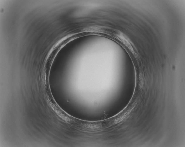 X0000086080931200703231400