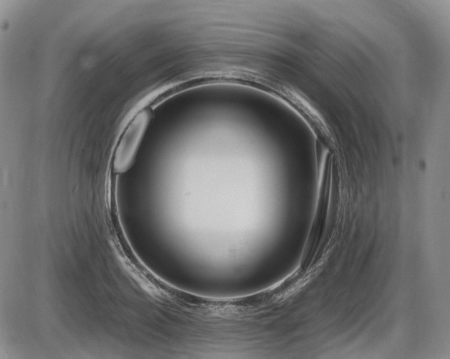 X0000086080940200703231401
