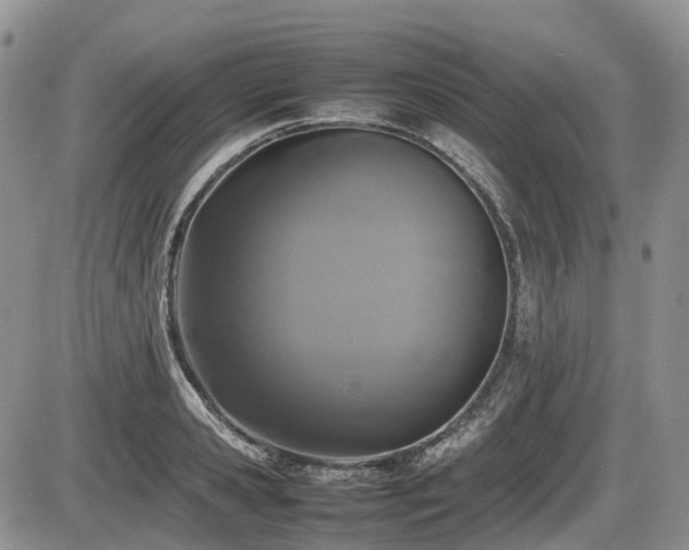 X0000086080941200703231401