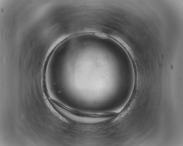 X0000086080949200703231401