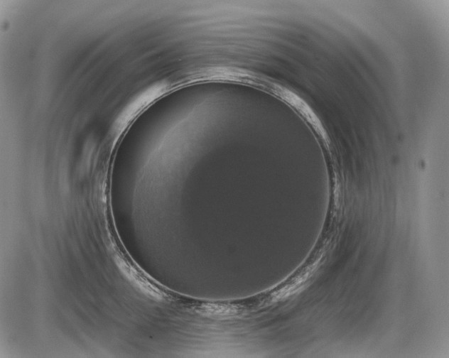 X0000086080954200703231401