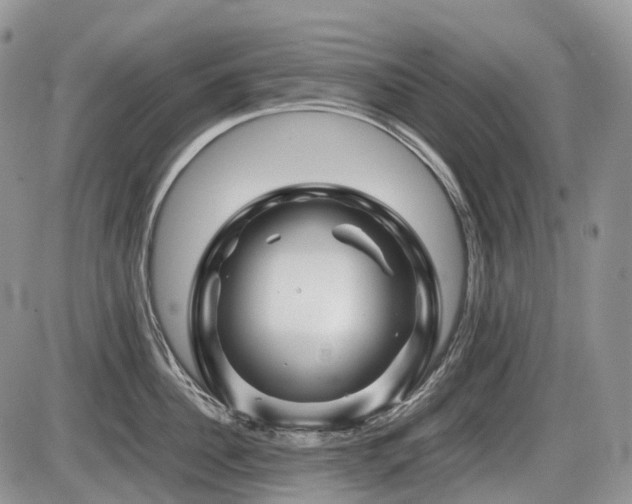 X0000086080956200703231401