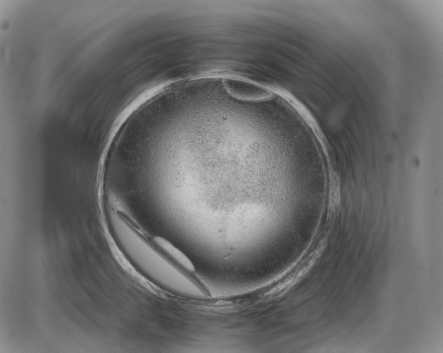 X0000086080957200703231401